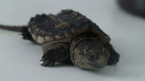 206366_504555809988_4897_n