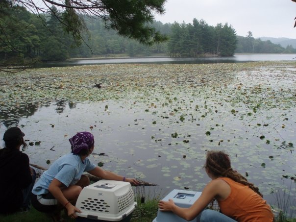 207217_505113871628_1188_n