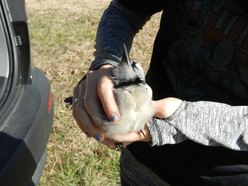 DSCN7973.JPG